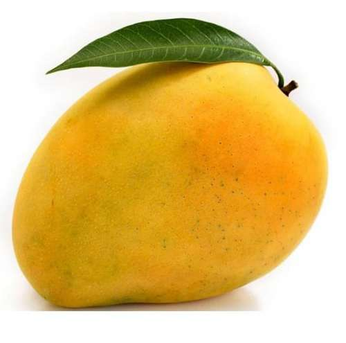 The Banganapalle Mango