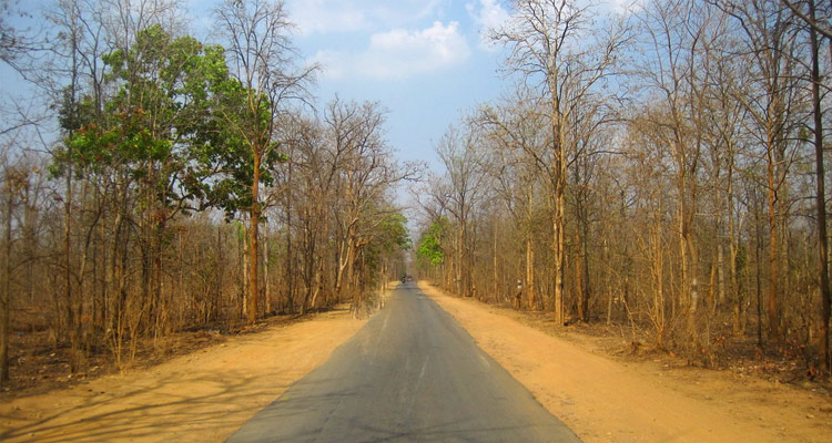 A road view in the forest,,Eturnagaram Wildlife Sanctuary, Credits: Telangana Tourism