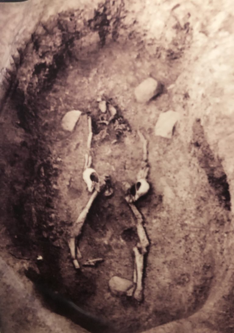 Pit showing the skeleton, the hands were cut and placed inside the conches.