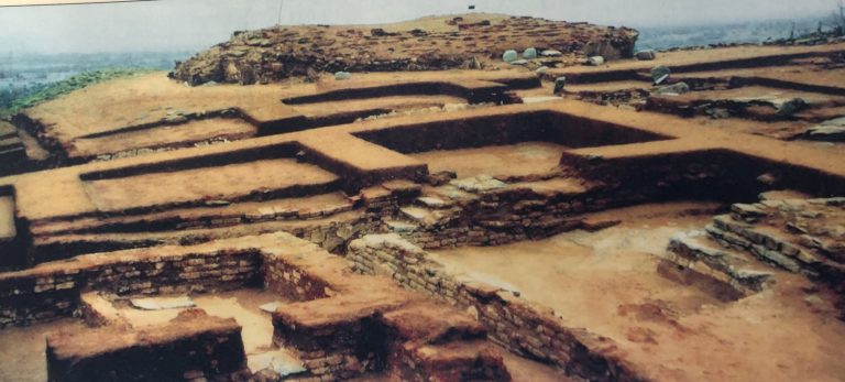 General view of Mahastupas and other excavated structures, Phanigiri