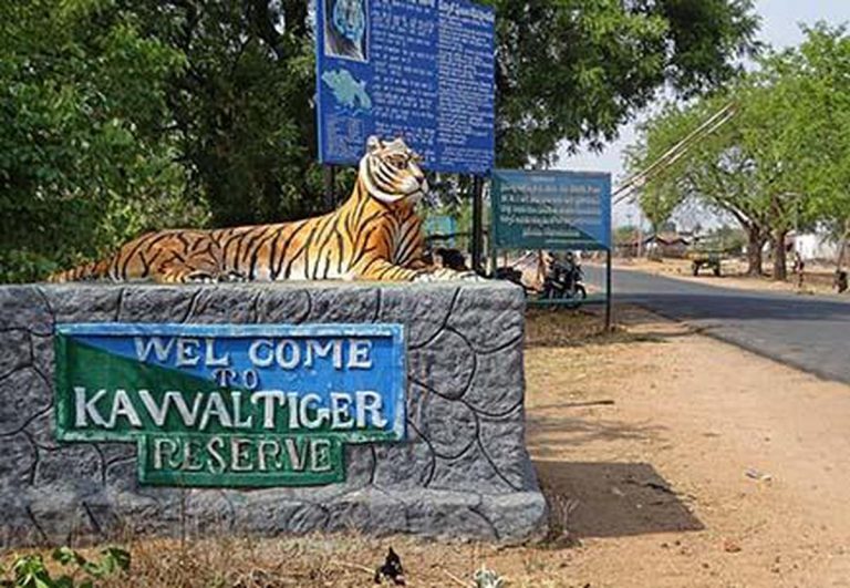 Entrace to Kawal Tiger Reserve , Source: The Hindu